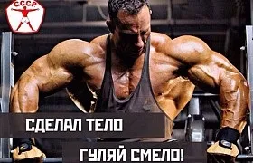 Фізкульт привіт! Тренування на дитячому майданчику! (Дитячої) Фізкульт привіт! Тренування на дитячому майданчику!