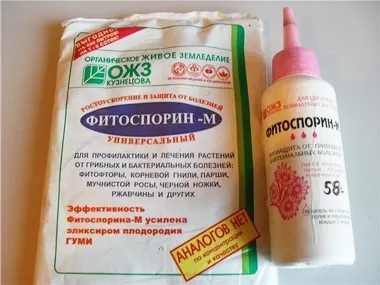Фітоспорін, опис і застосування Фітоспорін м (робочого розчину склянки) Фітоспорін, опис і застосування Фітоспорін м
