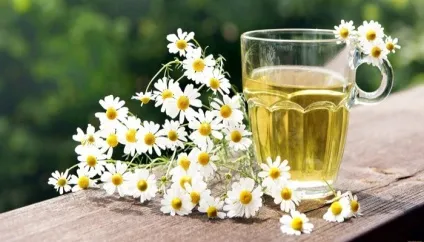 Фіброзна мастопатія лікування народними засобами і симптоми
