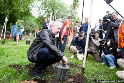 Фестиваль черешневий ліс