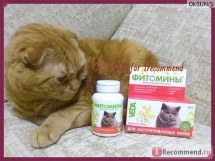 Фітоміни Веда для кастрованих котів - «фітоміни веда для кастрованих котів для профілактики (кастрованих) Фітоміни Веда для кастрованих котів - «фітоміни веда для кастрованих котів для профілактики