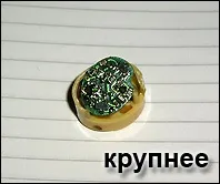 Де ховаються жучки