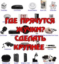 Де ховаються жучки