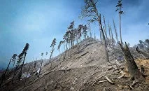 Ворожіння на різдво 2017 на судженого, дітей та майбутнє (2017) Ворожіння на різдво 2017 на судженого, дітей та майбутнє