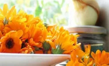 Гастрит лікування народними методами (лікування) Гастрит лікування народними методами