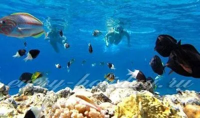 Де відпочити в жовтні 2017 за кордоном недорого, пляжний відпочинок (недорого пляжний відпочинок) Де відпочити в жовтні 2017 за кордоном недорого, пляжний відпочинок