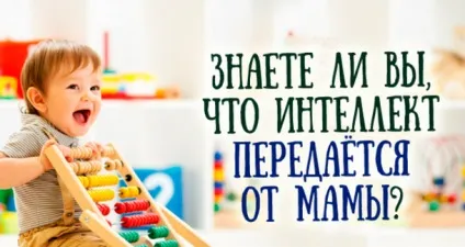 Генетики довели інтелект передається від мами! (Генетики) Генетики довели інтелект передається від мами!