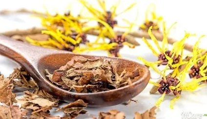 Гамамеліс в косметології склад, властивості, косметичні засоби і домашні рецепти (склад) Гамамеліс в косметології склад, властивості, косметичні засоби і домашні рецепти