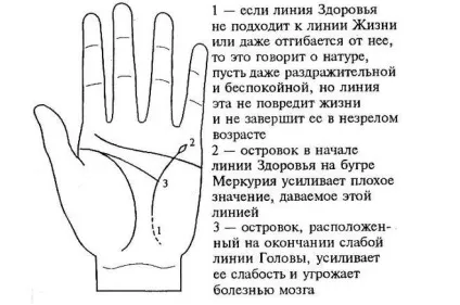 Де на долоні знаходиться лінія здоров'я і що можна по ній передбачити (знаходиться) Де на долоні знаходиться лінія здоров'я і що можна по ній передбачити