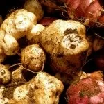 Глазуровані сирки користь і шкода (збитки) Глазуровані сирки користь і шкода