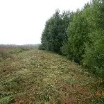 Головна сторінка, департамент меліорації міністерства сільського господарства рф
