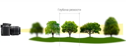 Глибина різкості у фотографії що це таке і навіщо потрібно (таке) Глибина різкості у фотографії що це таке і навіщо потрібно