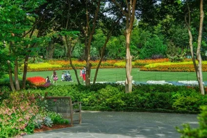 Голландський сад в ландшафтному дизайні 50 фото ідей (ідей) Голландський сад в ландшафтному дизайні 50 фото ідей