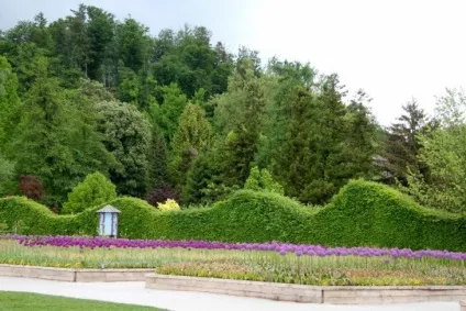Голландський сад в ландшафтному дизайні 50 фото ідей (фото) Голландський сад в ландшафтному дизайні 50 фото ідей