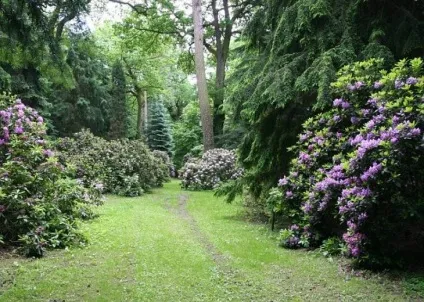 Голландський сад в ландшафтному дизайні 50 фото ідей (фото) Голландський сад в ландшафтному дизайні 50 фото ідей