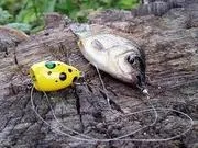 Гроза краснопірка - поплив Поппер - саморобки для риболовлі своїми руками (попливли) Гроза краснопірка - поплив Поппер - саморобки для риболовлі своїми руками
