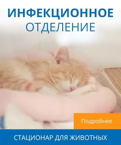 Державний ветеринарний і відомчий ветеринарно-санітарний нагляд (ветеринарно-санітарний) Державний ветеринарний і відомчий ветеринарно-санітарний нагляд