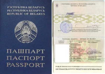 Імміграція в беларусь способи отримання посвідки на проживання (ВНЖ), переїзд на ПМП (в тому числі з (беларусь) Імміграція в беларусь способи отримання посвідки на проживання (ВНЖ), переїзд на ПМП (в тому числі з