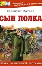 Відгуки про книгу син полку