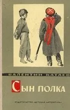 Відгуки про книгу син полку