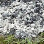 Вівсюг звичайний шкоду і заходи боротьби, мамині шпаргалочкі