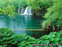 Одвороти, відсушки