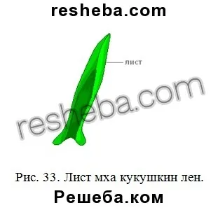 параграф 20