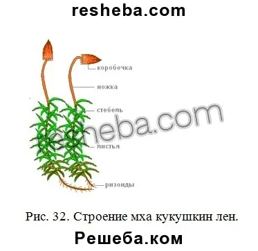 параграф 20