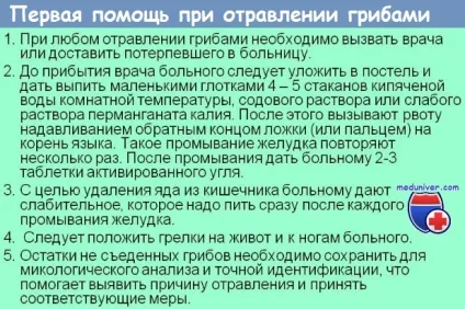 Отруєння отруйними грибами