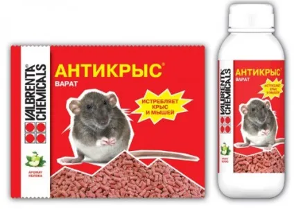 Отрута для щурів - рейтинг найсильніших отрут (отрута) Отрута для щурів - рейтинг найсильніших отрут