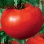 Томат американський ребристий характеристика та опис сорту (ребристий) Томат американський ребристий характеристика та опис сорту