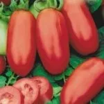 Томат американський ребристий характеристика та опис сорту (томат) Томат американський ребристий характеристика та опис сорту