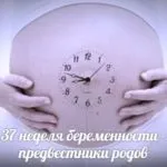 Токсикоз при вагітності на ранніх термінах причини і способи позбавлення (причини) Токсикоз при вагітності на ранніх термінах причини і способи позбавлення