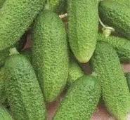 Томат китайський рожевий