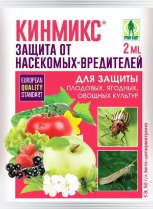 Попелиця на смородині як боротися, ніж обробити (безвітряну погоду цьому) Попелиця на смородині як боротися, ніж обробити