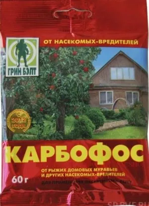 Попелиця на смородині як боротися, ніж обробити (обробити) Попелиця на смородині як боротися, ніж обробити