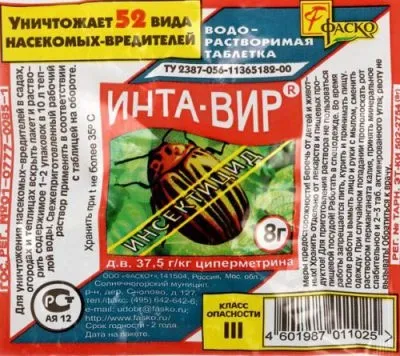 Попелиця на смородині як боротися, ніж обробити (смородині) Попелиця на смородині як боротися, ніж обробити