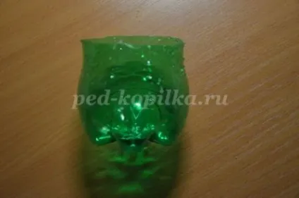 Топиарий з черепашок своїми руками (руками) Топиарий з черепашок своїми руками