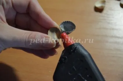 Топиарий з черепашок своїми руками (своїми) Топиарий з черепашок своїми руками