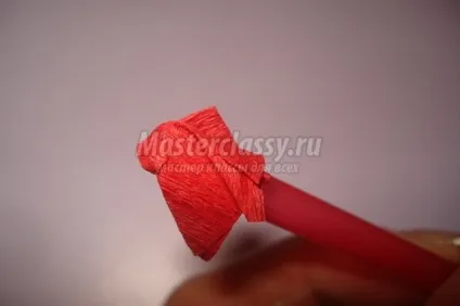 Топиарий «серце» в техніці торцювання (серце) Топиарий «серце» в техніці торцювання