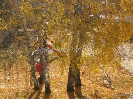 Топиарий з гофрованого паперу своїми руками (своїми) Топиарий з гофрованого паперу своїми руками