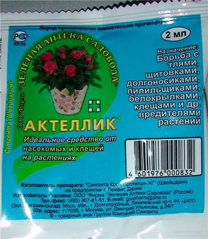 Попелиця на смородині як боротися народними засобами і хімією профілактика - eтепліца (народними) Попелиця на смородині як боротися народними засобами і хімією профілактика - eтепліца