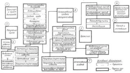 Виготовлення виноградного вина в домашніх умовах як бізнес обладнання (виготовлення) Виготовлення виноградного вина в домашніх умовах як бізнес обладнання