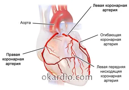 Каг (коронарна ангіографія) показання, як проводять, ніж корисно дослідження (показання) Каг (коронарна ангіографія) показання, як проводять, ніж корисно дослідження