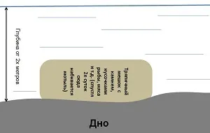 Як добути мотиля влітку - ловля на фідер
