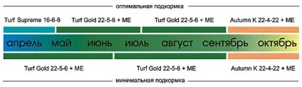 Яке насіння газонної трави краще вибір виробника (трави) Яке насіння газонної трави краще вибір виробника
