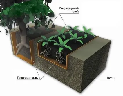 Яке насіння газонної трави краще вибір виробника (вибір) Яке насіння газонної трави краще вибір виробника