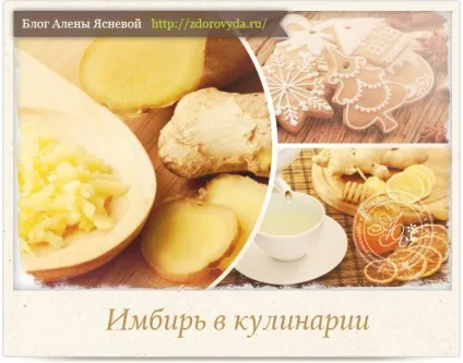 Як використовувати імбир в кулінарії -все секрети (імбир в кулінарії) Як використовувати імбир в кулінарії -все секрети