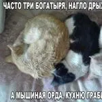 Як класно в таку погоду бути на дачі, дитина весь день тільки в одну панаму одягнений))) я в (погоду) Як класно в таку погоду бути на дачі, дитина весь день тільки в одну панаму одягнений))) я в