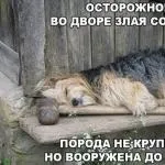 Як класно в таку погоду бути на дачі, дитина весь день тільки в одну панаму одягнений))) я в (дачі) Як класно в таку погоду бути на дачі, дитина весь день тільки в одну панаму одягнений))) я в